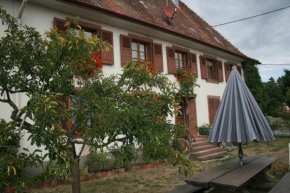 Maison d'Alsace Breitenbach-Haut-Rhin